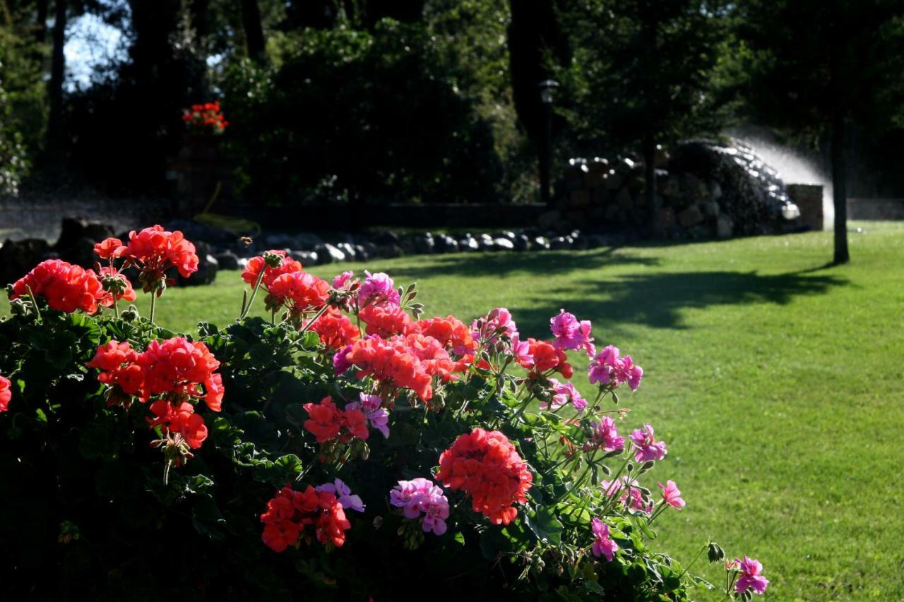 Casa Grazia Villa กัมบาสซี แตร์เม ภายนอก รูปภาพ